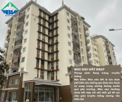 BÁO GIÁ VÀ SƠN LẠI